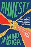 Amnesty: A Novel