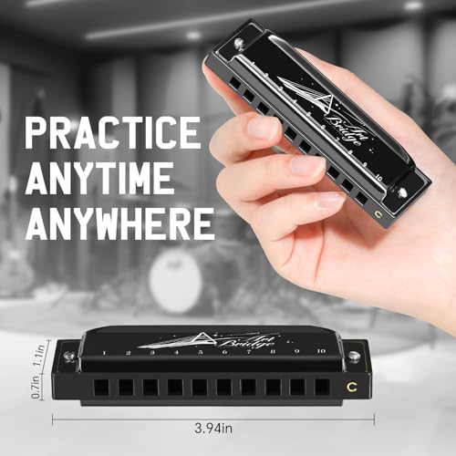 SDREAM Blues Harmonica for Adults Beginner,Professional Musicians, Students,Harmonicas key of C 10 Holes 20 Tones,Diatonic Harmonica with Case,As a Gift (Black, 10 holes blues primary) - Les Beatles, Paul McCartney, John Lennon, RIngo Starr, George Harrison SDREAM Blues Harmonica for Adults Beginner,Professional Musicians, Students,Harmonicas key of C 10 Holes 20 Tones,Diatonic Harmonica with Case,As a Gift (Black, 10 holes blues primary) – Image 5