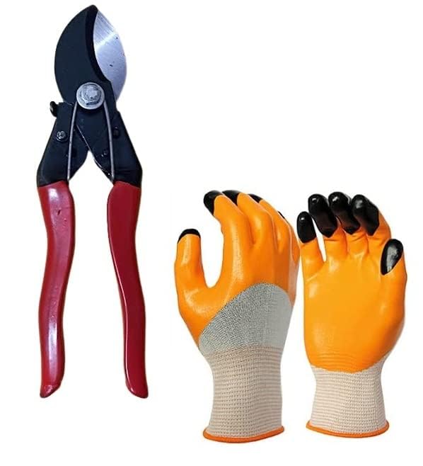 Aarav Heavy Duty Plant Cutter, Tree Cutter, Pruner Cutter, Flower Cutter with Garden Gloves For Home Garden | Wood Branch Trimmer | Sturdy Stem Scissors (Double Cut, Gloves) (B0CH1HZFY6) Amazon Price History, Amazon Price Tracker