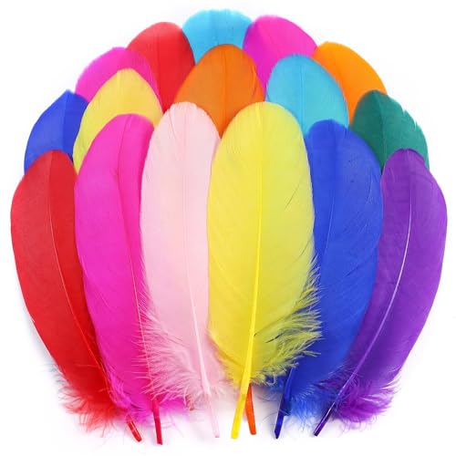 Holmgren Colorful Craft Goose Feathers - 200pcs 5-7inch Colored Feathers for DIY Crafts Dream Catchers Cosplay Wings and Home Party Decorations Colorful)