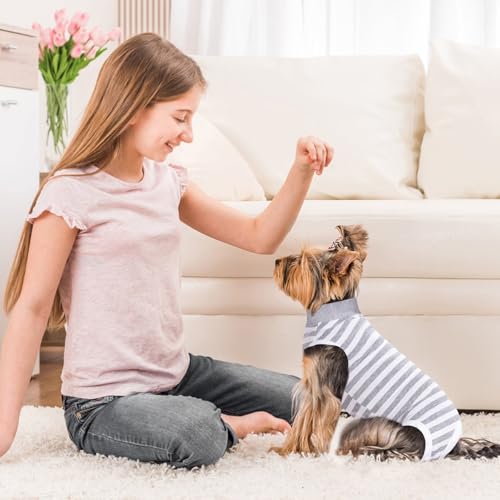 TQFlow Hundbody Nach Op, Body Hund Kastration Wundschutzanzüge Hündin Rüde, Wundschutz Professioneller Pet Recovery Suit, Operationsbody Hund Body Atmungsaktiv Hunde Einteiler (Grau,XS)