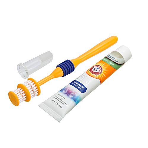 ARM & HAMMER Fresh Spectrum Kit dentale per cani al cocco, include spazzolino, dentifricio e spazzolino da dito. Rimuove placca e tartaro, lo spazzolino a 360° pulisce i denti in profondità