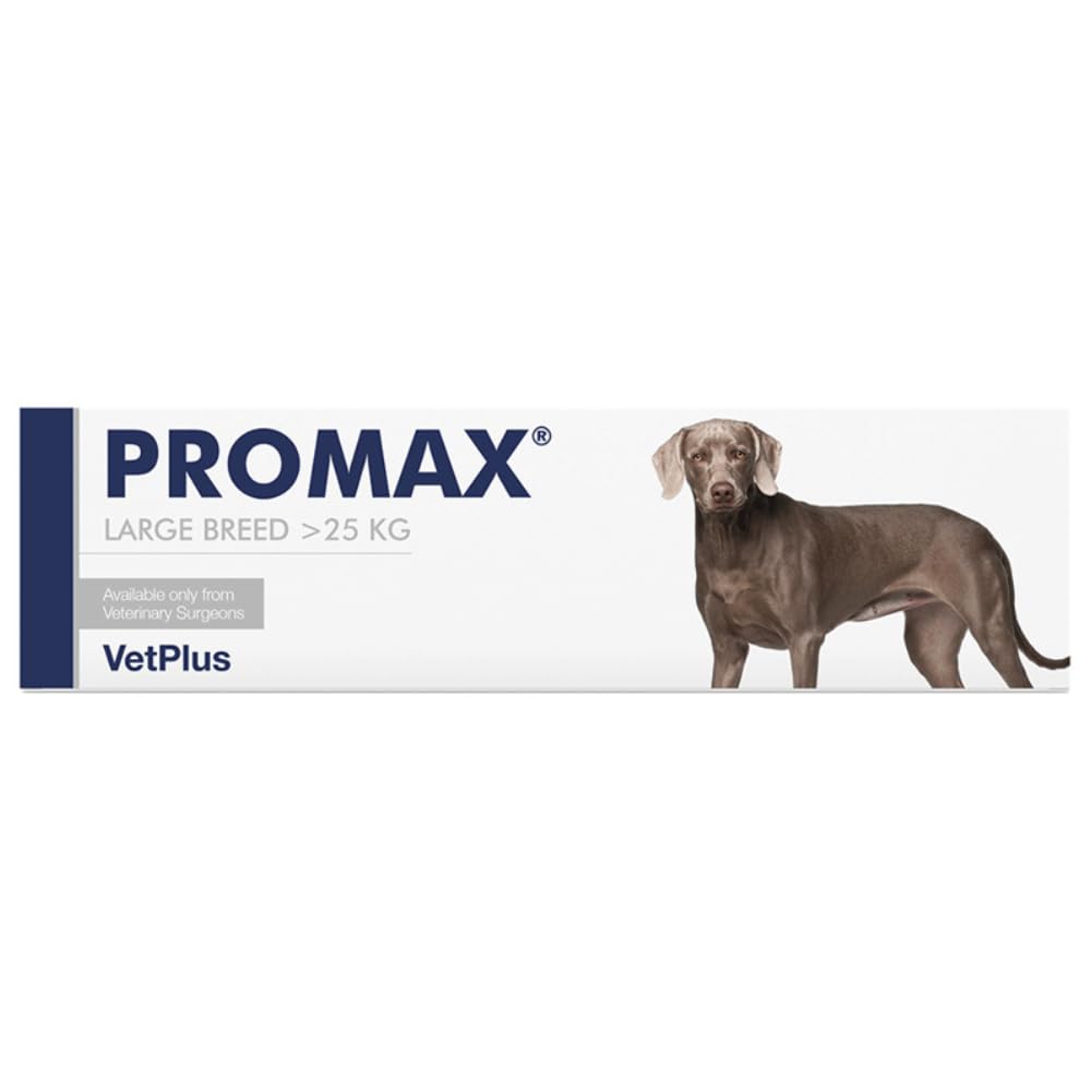Promax Nutritional Supplement for Large Dogs 30ml Syringe (Packaging May Vary)