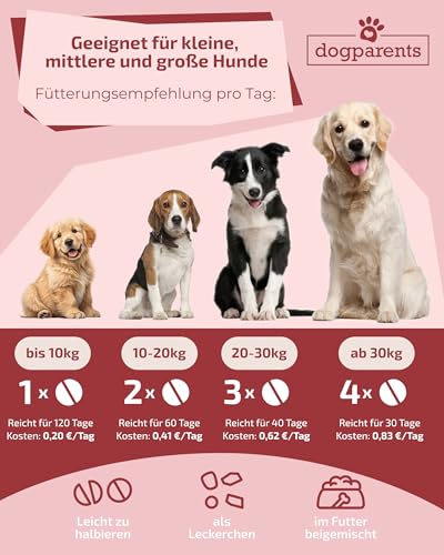 Prä & Probiotika Hund [MADE IN GERMANY, ZUCKERFREI & LABORGEPRÜFT] Darmkur mit 670 Mrd. KBE & Präbiotika – stärkt Darmflora & Verdauung – ideal nach Wurmkur, Grasfressen & Sodbrennen (180g (1er Pack))