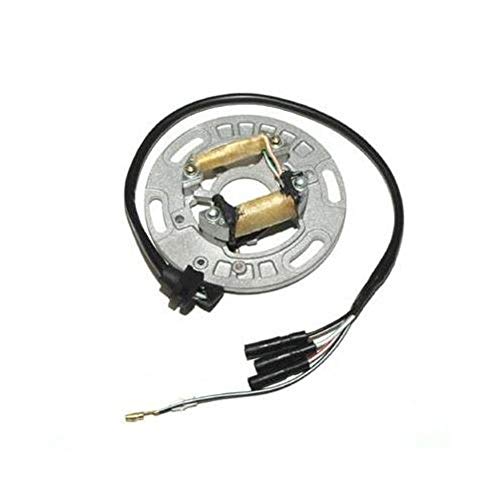 🔥 Crazy Deals ElectroSport ESC1151 Stator Kawasaki KX250