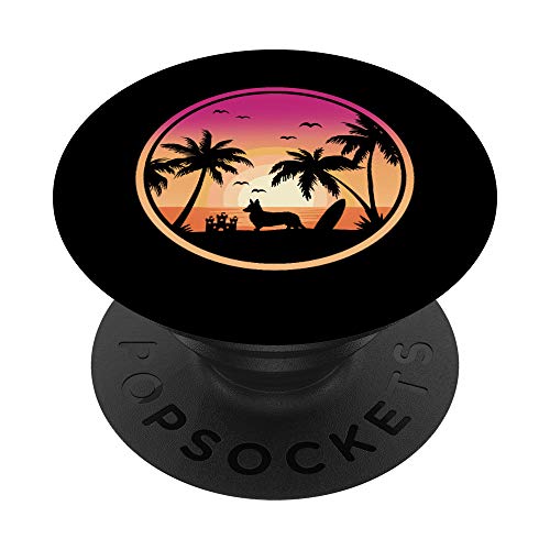 Corgi beach sunset back to school summer dog