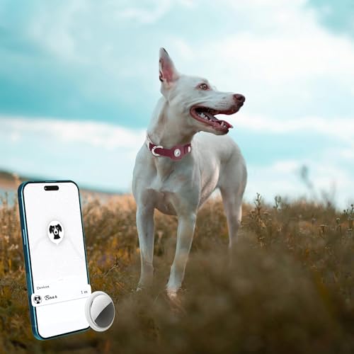 Collier chien cuir bordeaux anti-perte compatible Apple AirTag