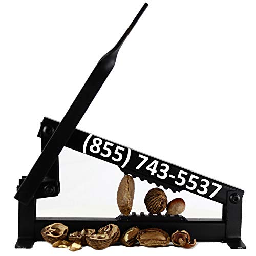 Top 10 Nutcracker For Black Walnuts of 2022 Katynel