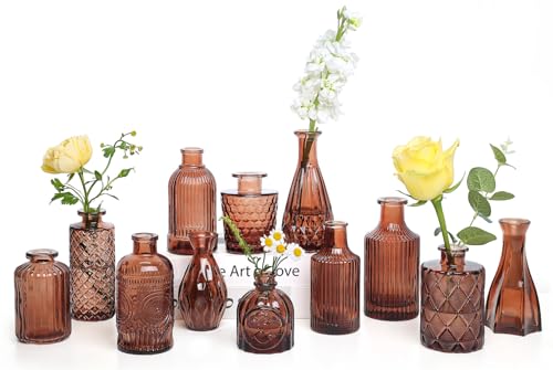 TBWIND 12-Piece Glass Bud Vase Set Small Caramel Coffee Brown Etched Glass Vases with Unique Shapes and Weighted Base for Windowsills Bathrooms and Table Centerpiece Dcor