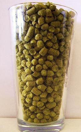 حبيبات شمال بروير- HOZQ8-975 كولومبوس هوب 1 Lb. - أخضر