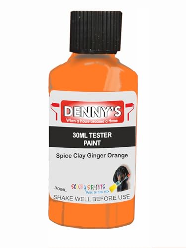 Premium Interior Wall & Furniture Chalk Paint – Spice Clay Ginger Orange – Rich Matt Finish, Durable & Washable, Low Odour, Ideal for Living Rooms, Bedrooms & Hallways (30ML Tester Bottle)