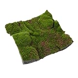 TOYANDONA Alfombra de Césped Artificial Falso Decorativo para Jardín y Terraza sin Mantenimiento Uso Interior y Exterior Estilo Rústico para Manualidades DIY