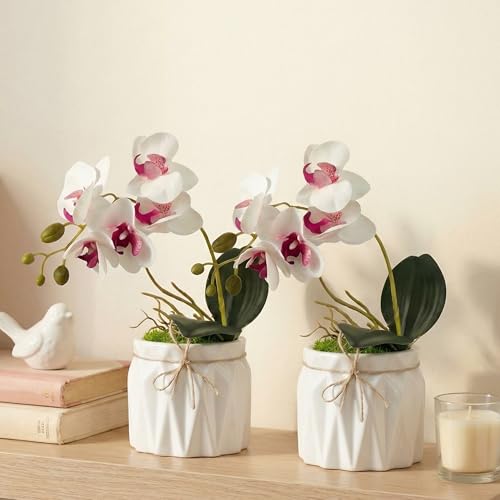 Image of Dekorly Artificial Lavender Plant in White Pot, 18cm - Realistic Faux Flower Arrangement for Home & Office Decor (Set of 1) (2, White Orchid)