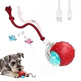 IGZNB Teddyloo Palla Interattiva,Palla Giocattolo Interattiva Per Gatti E Cani,Elettrica Con Suono Di Uccello,Tre Modalità E Ricarica USB,Compatto E Portatile (Rosso)