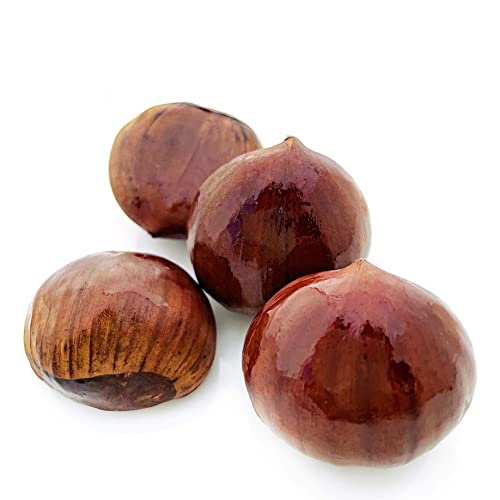 Kejora Fresh Korean Mini Chestnuts - 1 Lb