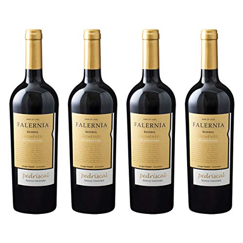 [4�{�܂Ƃߔ���] �J�����l�[�� ���Z���o �y�h���X�J�� �V���O�� ���B�����[�h (Carmenere Reserva Pedriscal) 2019�N �r�[�j�� �t�@�����j�A �`�� �G���L ���@���[ �ԃ��C�� �t���{�f�B �J�����l�[�� 750ml