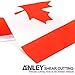 Anley Canada Deluxe Desk Flag Set - 6 x 4 Inch Miniature Canadian Desktop Flag with 12