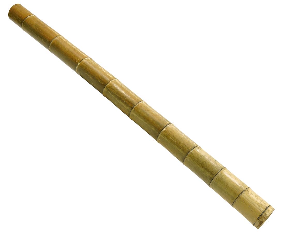 Bambusrohr XL hitzebehandelt 200cm 14-16cm Durchmesser