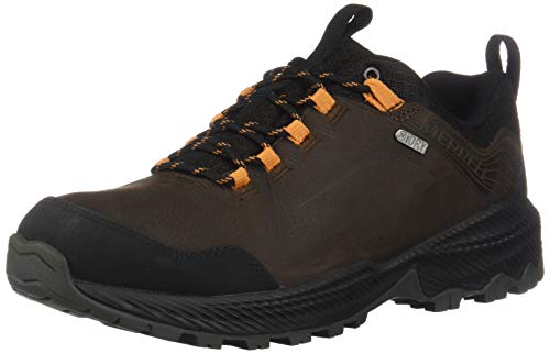 Merrell Forestbound Waterproof, Chaussures de Randonnée Basses Homme, Marron (Dark Earth), 44 EU