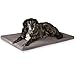 ONVAYA® Hundekissen aus Memory Foam | orthopädisch | 95 Grad waschbar | grau | Hundebett Größe S | Hundematratze | Hundematte | Liegekissen
