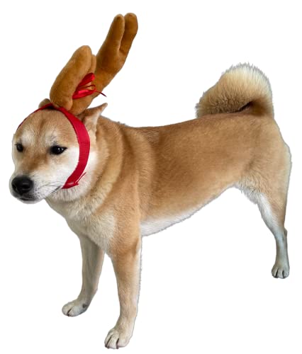 Disfraz de reno para perro XL con diadema ajustable
