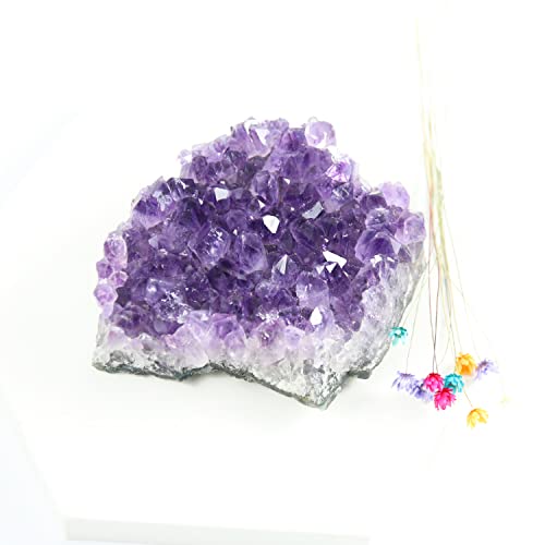 Nvzi Amethyst Druse, Amethyst Stein, Amethyst Kristalle, Kristalle Heilsteine, Bergkristall Rohstein, Roher Amethyst, Natürliche Amethyst-Geodenhöhlen Kristalle Heilsteine(100G) Cover