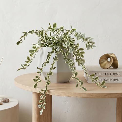 Image of Dekorly 2 Pack Artificial Plants Artificial Hanging Plants Faux Eucalyptus Leaf Greenery Fake Hanging Eucalyptus Plant (Green) (2, Cherry) (2, White and Green)