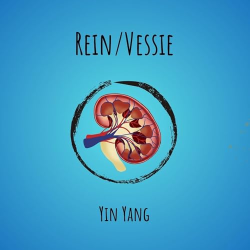 Reins/Vessie