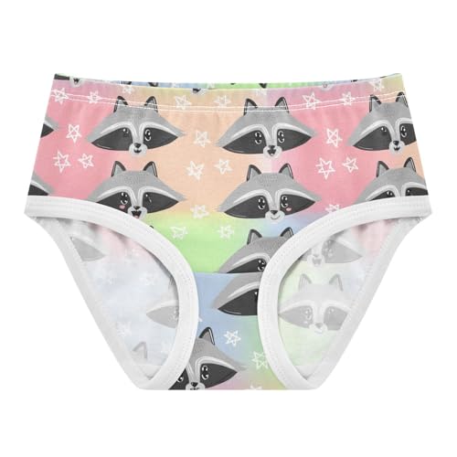 Joisal Cute Cartoon Raccoon Pastel Little Girl Panties Toddler Girls Underwear Cotton Fun Print Briefs Undies Kids 2t