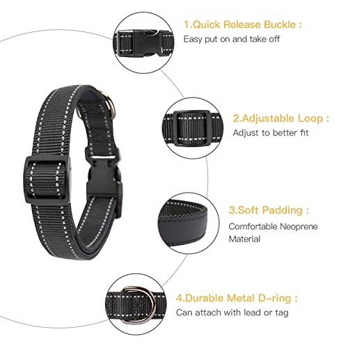 Hundehalsband Heele aus Neopren und Nylon, weich gepolstert und verstellbar