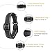 HEELE Hundehalsband, weich gepolstertes Neopren Nylon Hunde Halsband für kleine mittlere große Hunde und Welpen, verstellbare und reflektierende Halsband Hund für Training, Schwarz, S