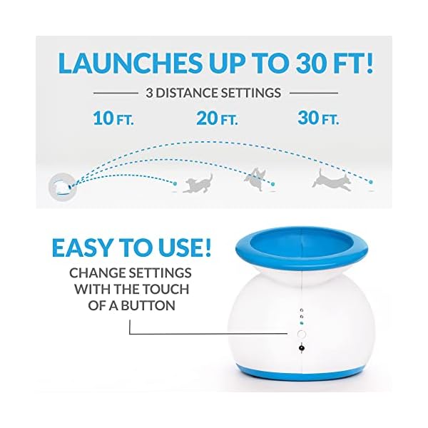 Interactive Ball Launchers for Dogs