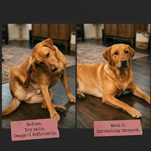 Image of UNDERSTOOD Glow Topper for Dogs and Cats | Omega-3 Rich | Shedding, Dull Coat & Itchy Skin | No Fillers | 50g