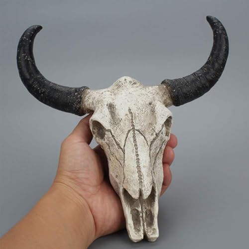 Calidaka 15959492306439 Bull Head Skull Wall Hanging Art Cow Skull Wall Plaque 3D Realistic Cow Skull Statue Skeleton Animal Head Wall Home Cow Skull Design Sculpture thumb #7