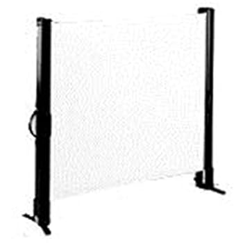 Amazon.co.jp: Epson Projector Portable Screen ELPSC06