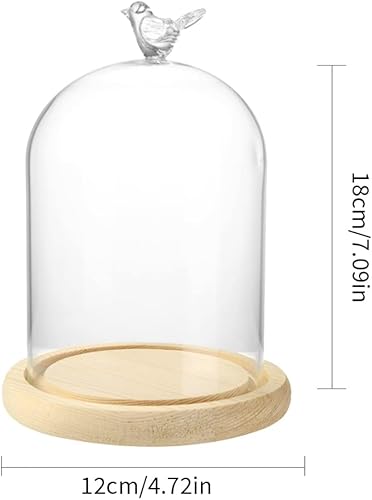 Miniatura 6 de Forart - Vitrina de cristal transparente con mango de pájaro, base de madera, tarro de vidrio transparente con base de bambú
