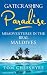 Produktbild Gatecrashing Paradise: Misadventure in the Real Maldives