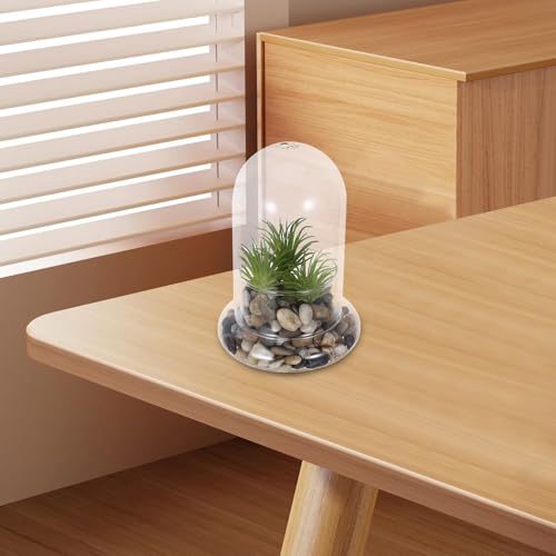 Botellas de vidrio de borosilicato COLLBATH para terrarios y micropaisajes con agujero de 8mm 6