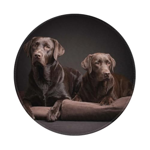 Superficie ultra liscia: il tappetino per mouse Labrador Retriever marrone per laptop è progettato con una trama tessile liscia, inodore, senza abrasioni, senza pelucchi e comodo al tatto, per garantire un controllo preciso dei mouse con una scorrevolezza liscia. È facile da pulire e non ritarderà il lavoro o il gioco