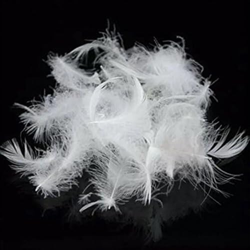 ROSE FEATHER Goose Down Feather Pillow Stuffing & Filling, 5% Down 95% Feather (5/95), Bulk Fill for DIY, Refill, Repair & Restuffing, Pillows, Cushions, Couch, Bedding, Dog Beds & Upholstery, 1 lb