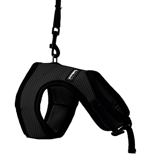 Scenereal Co.Ensemble harnais et laisse pour lapins, chats, petits animaux, gilet en maille souple