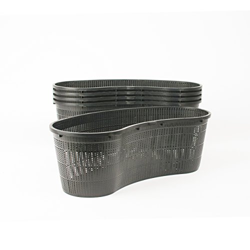 Inter fiori - Confezione da 5 sottovasi - Rene