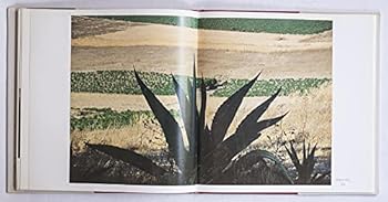 Hardcover Viaggio in Sicilia [Italian] Book
