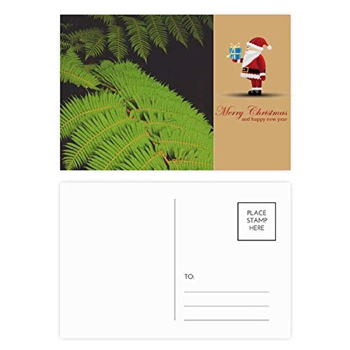 Cartes postales motif feuilles vertes Lot de 20 pour ne manquer de rien