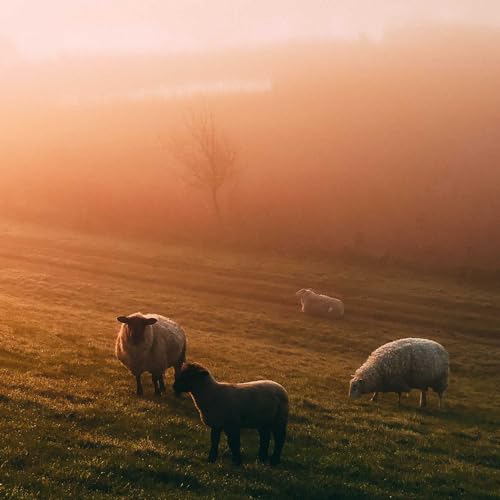 FOUND FAITH PART 2// Peter S. Favuzzi ft. Joe and Dougie E.