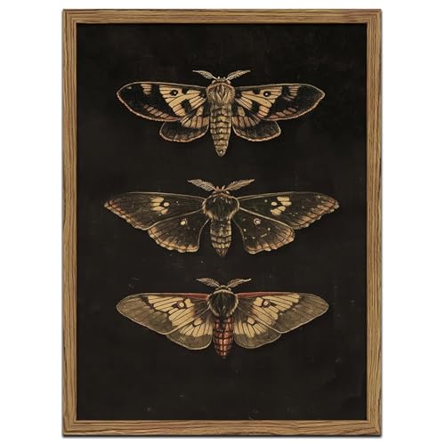 Vintage Moth Butterfly Wall Art Framed Canvas, Dark Cottagecore Insect poster, Antique Natural Butterfly Artwork, Gothic Botanical Wall Decor for Bedroom Living Room Gallery, Wood Frame 12x16 Inch