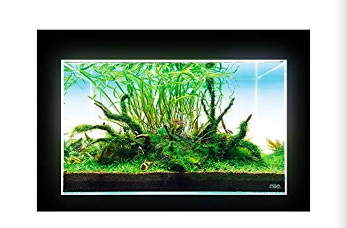 ADA Light Screen 60 Type C Plug (W60xH36cm): Buy Online at Best