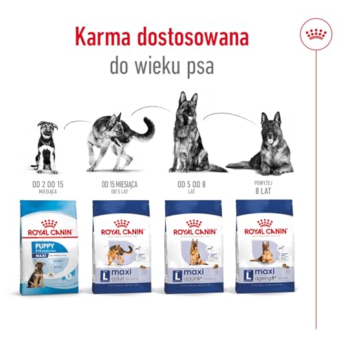 Royal Canin Maxi Adult | 4 kg | Alleinfuttermittel für Hunde großer Rassen | Omega -3 Fettsäuren für Haut und Fell | Abgestimmter Energiegehalt und angepasste Krokettengröße
