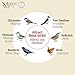 Nature's Way Bird Products CWH4 Cedar Bluebird Viewing House