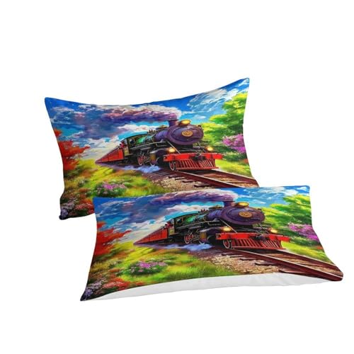 Housse de couette train imprimé 3D microfibre de qualité style rétro 260x220 - 3